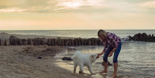 Woman Plays Fetch with Dog on Sandy Beach