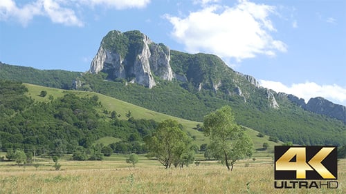 Mountain and Meadow in Summer