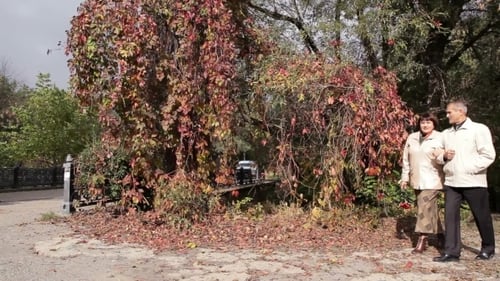Herbstspaziergang Im Park