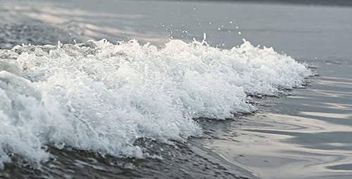 Tide In