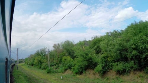 Train Travels Past Trees and Fields on Sunny Day