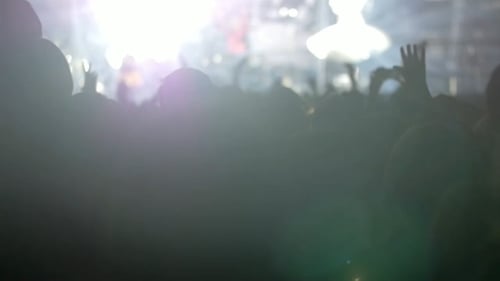 Crowd Silhouettes at a Music Concert at Night
