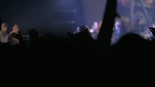 Exciting Crowd Raising Hands at Night Concert