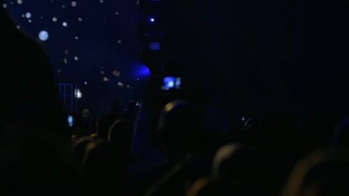 Energetic Crowd Dancing at a Music Concert