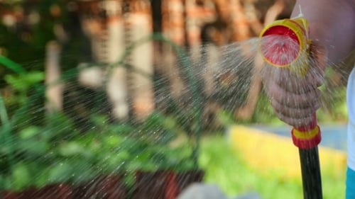 Manual Garden Sprayer