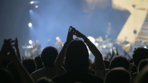 Excited Crowd Enjoying Live Music Concert at Night