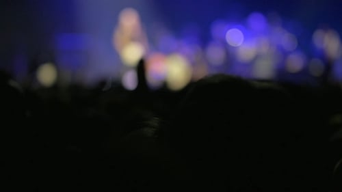 Crowd Enjoys Live Concert at Night