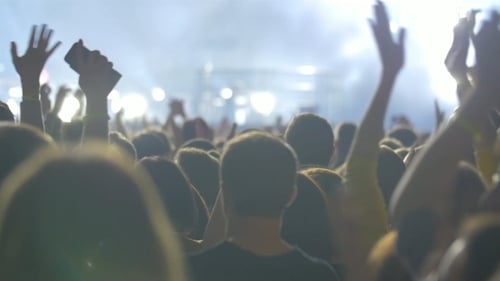 Excited Crowd Cheers at Nighttime Music Concert