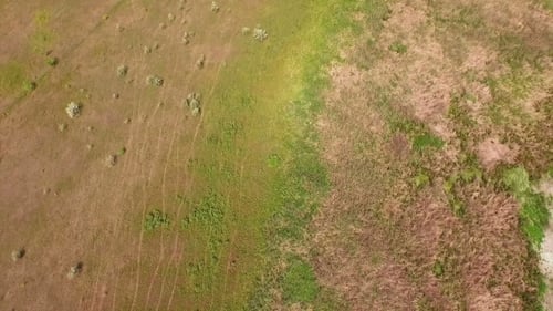 Kamera für Flug im Feld nach oben kippen