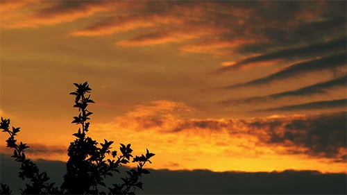 Clouds at Sunset