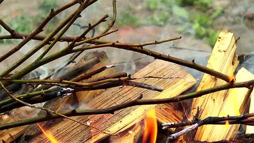 Burning Wood with Twigs in Daytime Outdoors