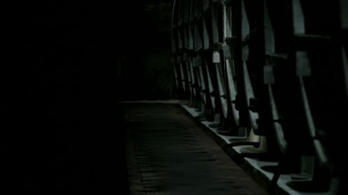 Man with Flowers in Dark Vintage Wine Cellar