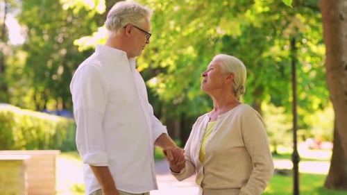 Happy Senior Couple Walking at Summer City Park