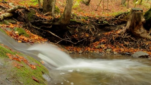Wasserfall