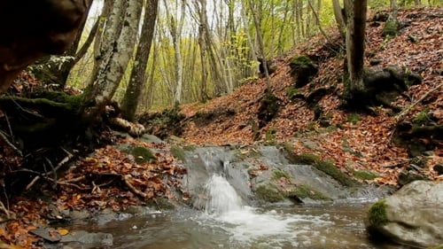 Wasserfall im Wald