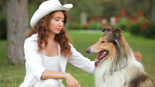 Vorstellung von Hunden