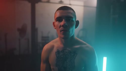 Boxer