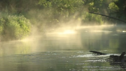 Foggy River Flowing Through a Serene Landscape