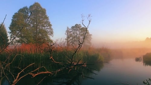 Misty River at Sunrise in Rural Landscape