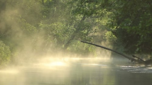 Misty River in Rural Morning Sunlight