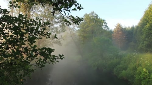 Fog Drifting Over a Calm Forest River