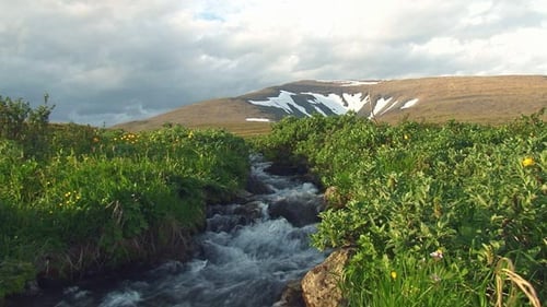 Fast Stream Flowing from the Mountain