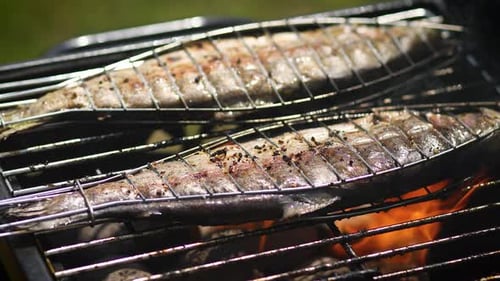 Leckere ganze Fische auf dem Barbecue-Grill