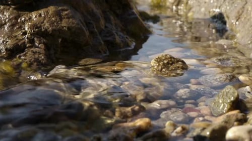Clear Water Flowing Over Rocks and Pebbles