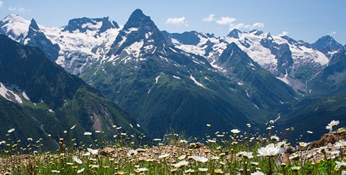 Snowy Mountains and Wildflower Meadow Landscape