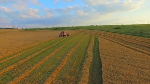 LUFTAUFNAHME. Ein Weizenfeld wird geerntet