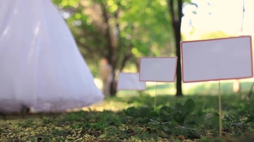 Wedding In A Park