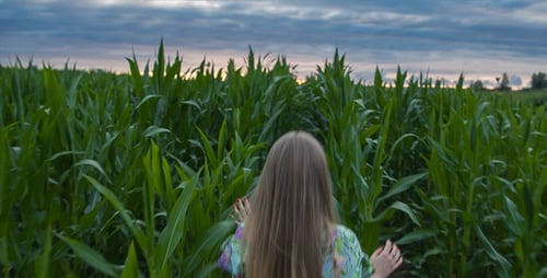 Running Through the Field