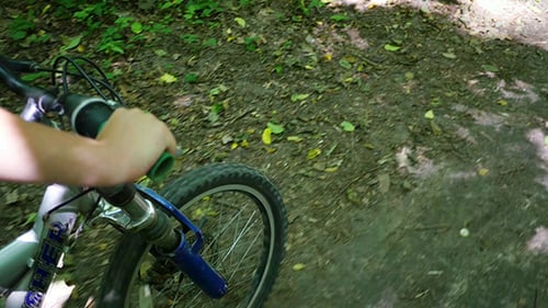 Boy Biking On Forest Trails