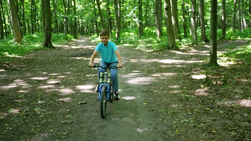 Boy Biking On Forest Trails In Day