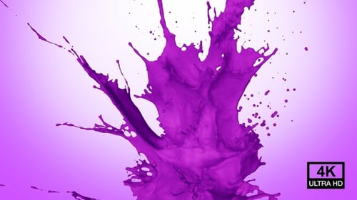Rising Purple Liquid Paint Splash Transition