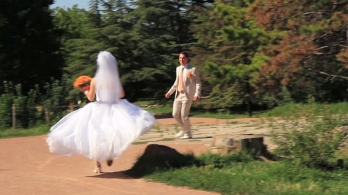 Wedding Day