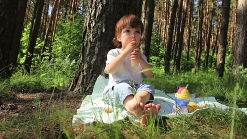 Kind im Wald