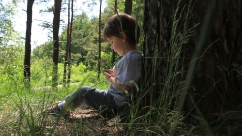 Boy Playing in Forest by Tree on Sunny Day