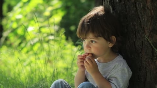 Essen für Kleinkinder