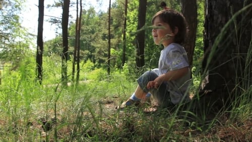 Child Relaxing at Base of Tree in Forest