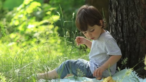 Kleiner Junge isst in der Natur