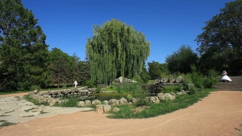 Couple In A Park