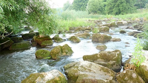 Fast Flowing River With Stones