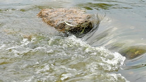Fast Flowing River With Stones In The Water Slow