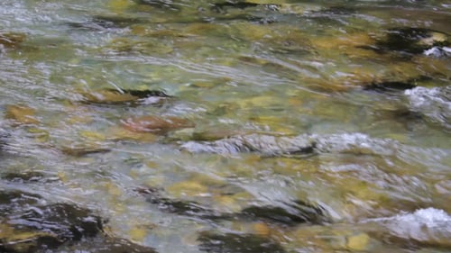 River Water Flowing