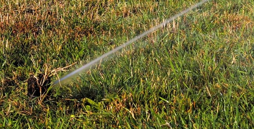 Sprinklers on Grass