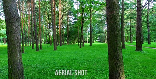Flight Between Trees