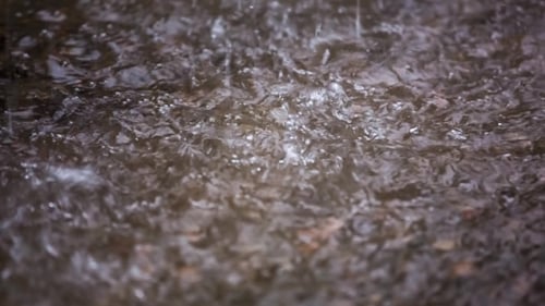 Drops Of Torrential Rain Falling On The Ground