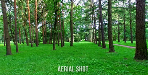 Flight In The Park