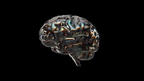 Iridescent Glass Brain Rotating on Black Background
